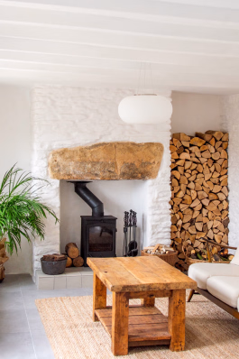 phthalo studio