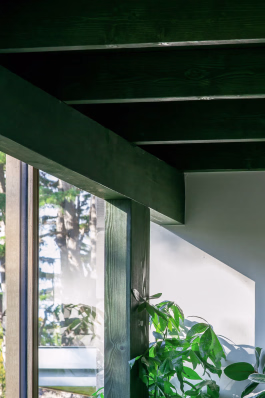 phthalo studio